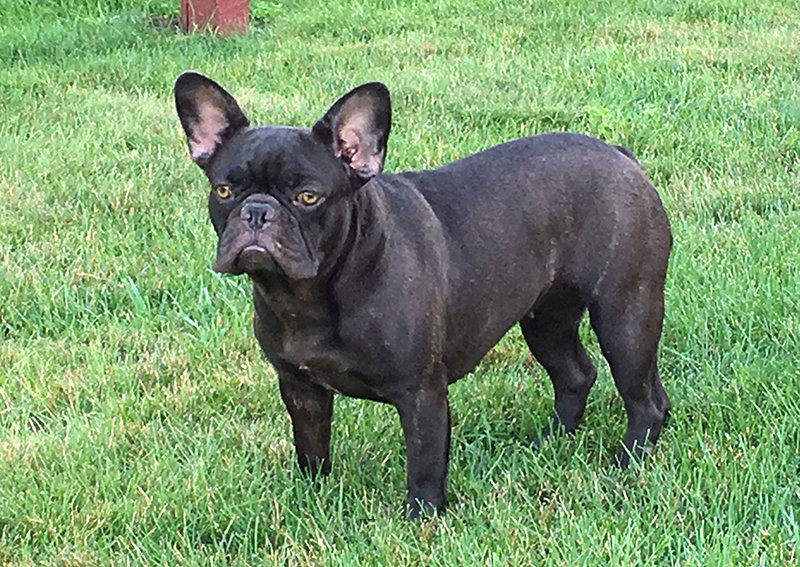 Coco